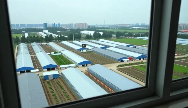 医疗资源下沉中的技术支撑与场景实践